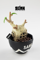 【Fantastic Caudex】White & Black